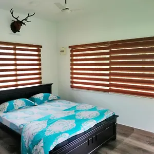 Noah's Nest Tree House Homestay Thekkady